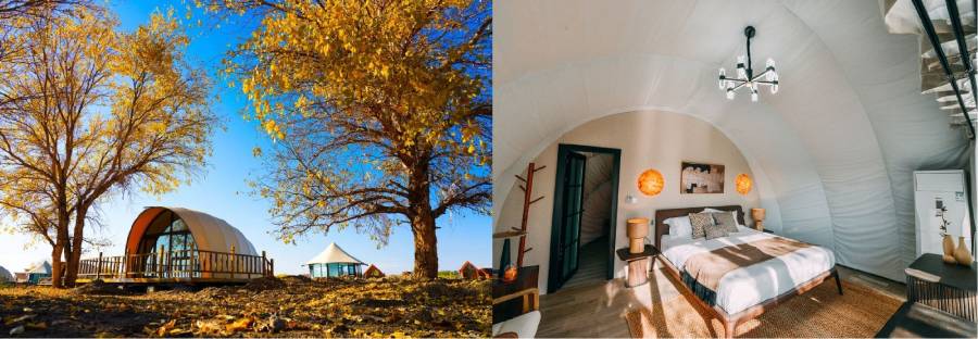 Safari Tents: Where Luxury Meets the Wilderness