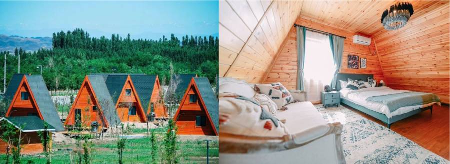 Outdoor Living Tents: Complete Buyer's Guide 2026